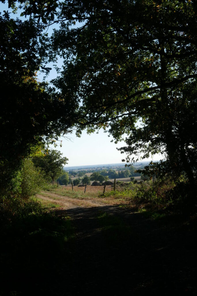 Chemin de randonnées